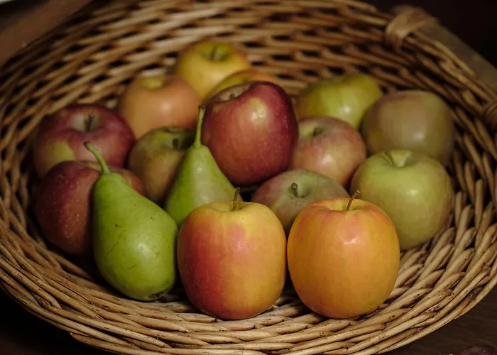 Imathoessa 3* يالوفا